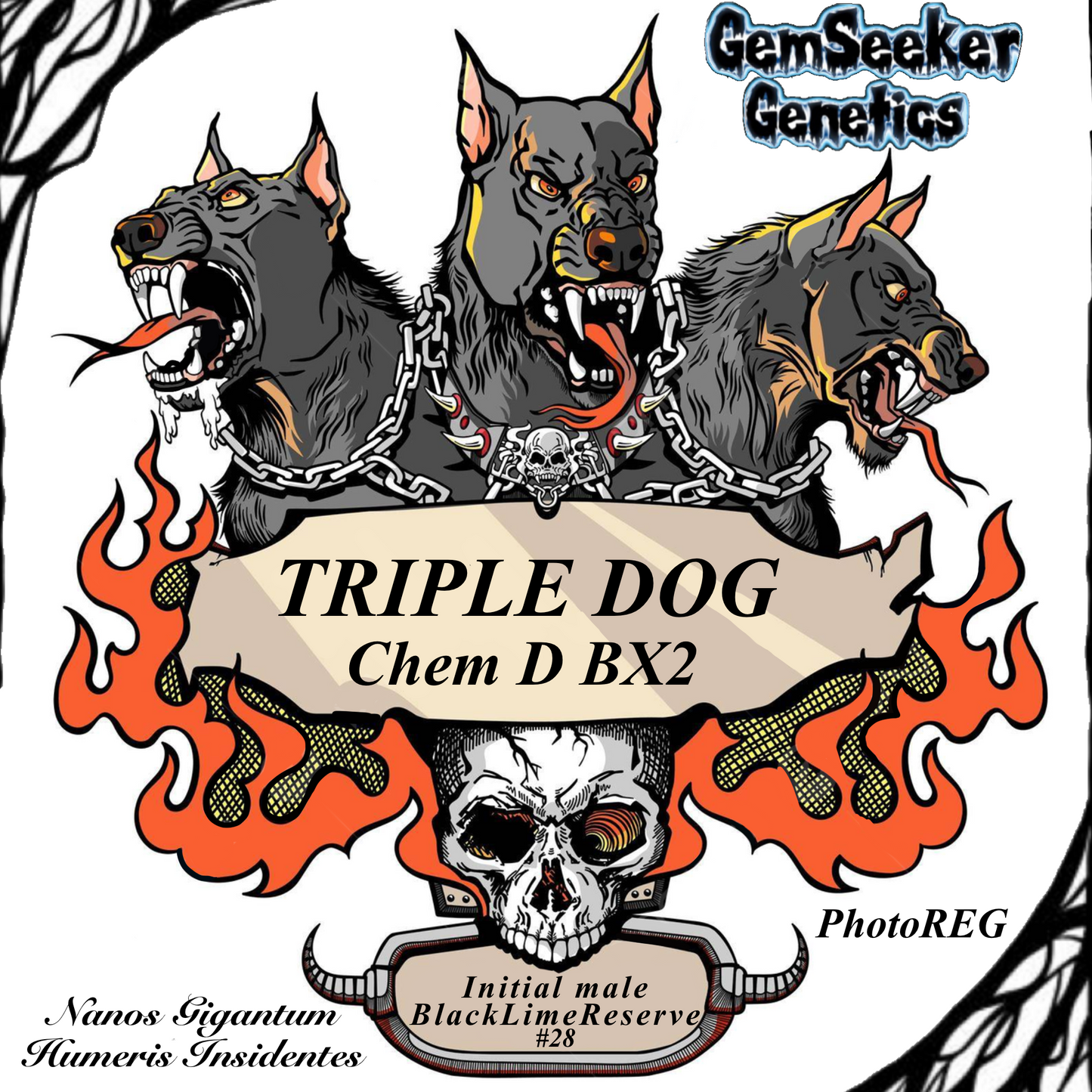 Sticker Combo Triple Dog