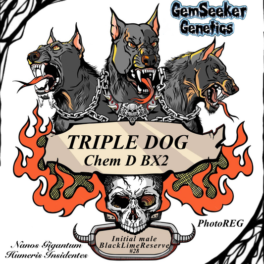 Sticker Combo Triple Dog