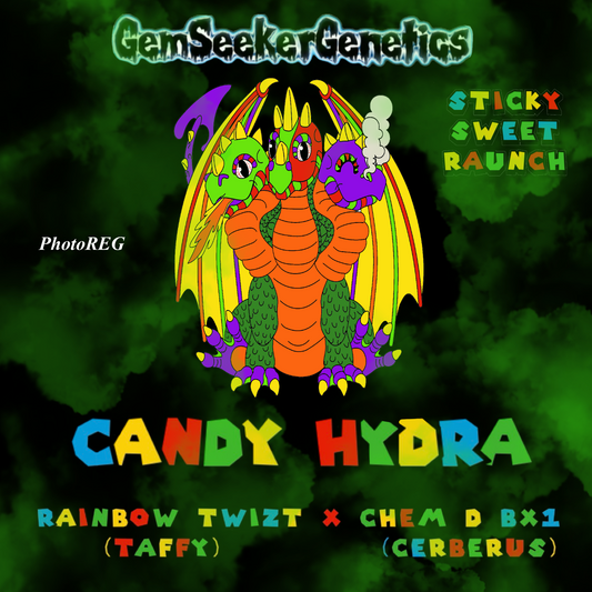 Sticker Combo Candy Hydra